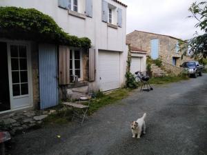 een kat in de straat naast een huis bij maison de village, a la semaine min, bord de mer in Les Sables Vignier