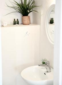 un baño con lavabo y una planta en un estante en Whitelist Studios in Mykonos Town en Mykonos ciudad