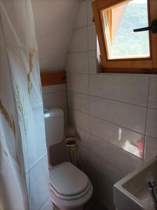 a small bathroom with a toilet and a window at Vikendica Raj in Bihać