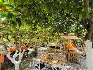 a wooden table and chairs under a tree at Litost Cafe in Adrasan