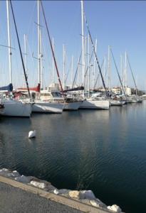 Φωτογραφία από το άλμπουμ του MOBIL HOME 4 à 6 PERS Le Canet en Roussillon σε Canet-en-Roussillon