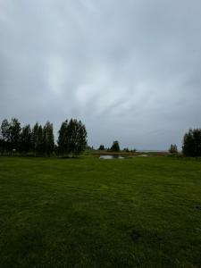 un gran campo verde con árboles en el fondo en Vasaras mājiņa Nr.3, en Kaunata