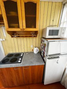 eine kleine Küche mit einem Herd und einer Mikrowelle in der Unterkunft Vasaras mājiņa Nr.6 