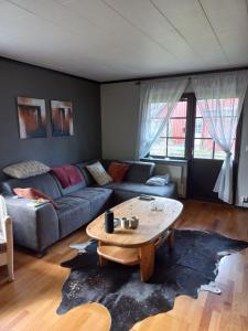 a living room with a couch and a coffee table at Vakantiewoning in Småland Zuid-Zweden in Hjältevad