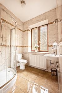 a bathroom with a toilet and a sink and a shower at Hotel Willa Adriana in Płock