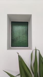 a green window in a white wall with a plant at Cubanito 23 Vivienda de diseño junto al mar in Cartagena