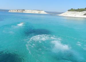 un cuerpo de agua con una ola dentro en Fotis Apartments en Skála Néon Kydonión