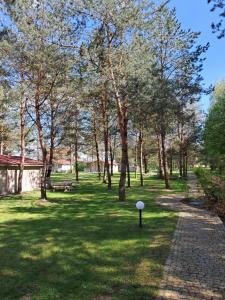 Ogród w obiekcie Osada Wejsuny