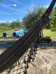 uma rede com borboletas ao lado de uma piscina em Casa dos Araújos em Frechas