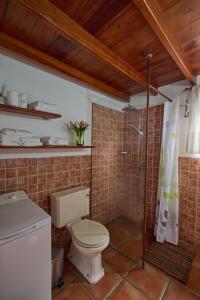 y baño con aseo y ducha. en Casa La Casamera, en Guarazoca
