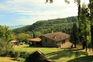 una casa in un campo con una montagna sullo sfondo di Relax in Tuscany a Poppi
