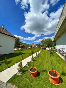 Photo de la galerie de l'établissement Rooms P&L, à Plav