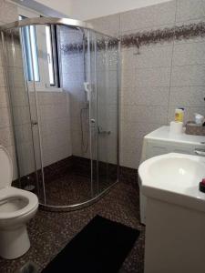 a bathroom with a shower and a toilet and a sink at Spyros central apartment in Tripolis