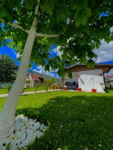 Photo de la galerie de l'établissement Rooms P&L, à Plav