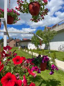 Photo de la galerie de l'établissement Rooms P&L, à Plav 17 autres photos