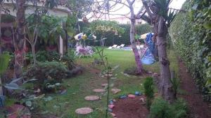 um jardim com uma árvore e pessoas no quintal em Villa entièrement meublée à louer à Mohammedia em Mohammedia