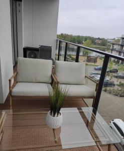 un balcone con 2 sedie e un vaso con una pianta di Apartament Prestige Spa Dziwnów a Dziwnów
