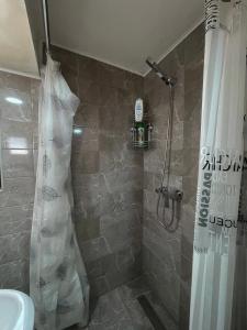 a bathroom with a shower and a sink at Rooms P&L in Plav