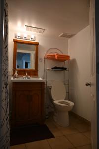 a bathroom with a toilet and a sink and a mirror at Oasis Suite in Niagara Falls