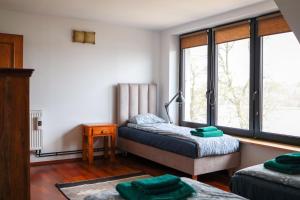 um quarto com 2 camas e uma janela em Na Dubie em Zalewo