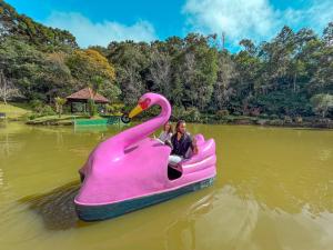 dos niños montando un barco cisne rosa en el agua en Hotel Fazenda Golden Park Campos do Jordão, en Campos do Jordão