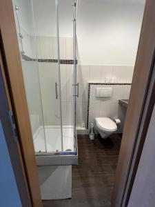 a bathroom with a shower and a toilet at Doppelzimmer mit TV in Meine