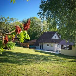 una casa y un patio con una casa y un árbol en Iskra DDUR, en Gornji Milanovac