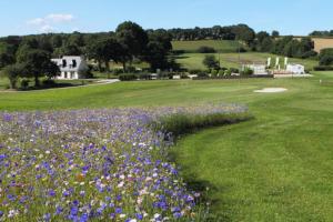 a field of purple flowers in a green field at Le Coin Cozy in Carhaix-Plouguer
