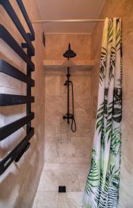 uma cabina de duche ao nível do chão com uma cortina de chuveiro em Na Dubie em Zalewo
