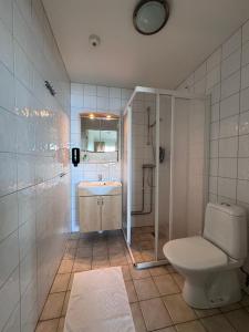 a bathroom with a toilet and a shower and a sink at Ekenäs Havshotell in Sydkoster