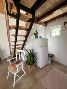 Zimmer mit einem Kühlschrank, einem Stuhl und einem Tisch in der Unterkunft Vikendica Smokvica in Sremski Karlovci