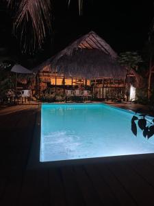 a swimming pool at night with a thatch roof at chill out hostel in Palomino