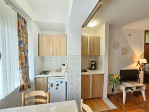 een kleine keuken met een fornuis en een wastafel bij Studio Asli in Budva