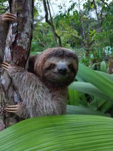 Φωτογραφία από το άλμπουμ του Centro Ecológico La Ribera-CABAÑA 2 σε San Rafael +34 φωτογραφίες