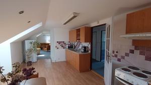 Kuchyň nebo kuchyňský kout v ubytování Apartment Vcelakov