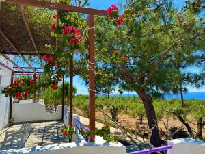 una casa con flores colgando de un árbol en Studios Crete, en Ferma