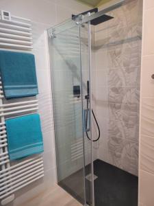 ein Bad mit einer Dusche und blauen Handtüchern in der Unterkunft Le Patio in Montbazin