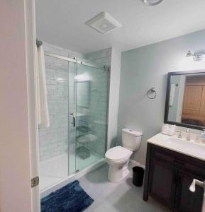 La salle de bains est pourvue d'une douche, de toilettes et d'un lavabo. dans l'établissement Quiet Guest Suite in Beautiful Victoria Core, à Victoria