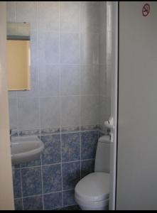 a bathroom with a toilet and a sink at Sunny Villa in Dobrich