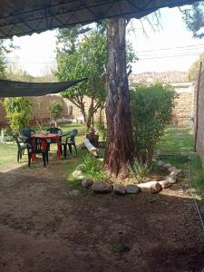 a picnic table and a tree in a yard at Uziel in Humahuaca