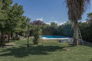 una piscina en un patio con un árbol en MARGAHOME en Maipú