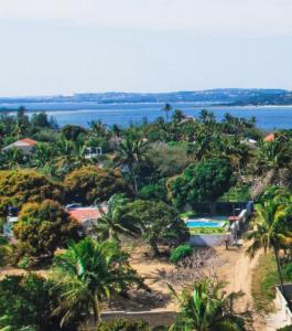 eine Insel mit Palmen und einem Wasserkörper in der Unterkunft House of joy Bilene in Vila Praia Do Bilene