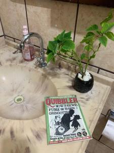 un libro seduto su un lavandino del bagno con una pianta di Aconchego do Harry Potter a Pomerode