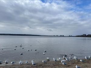 Gallery image of Fast internet free parking laundry and cooking nice home in Barrie