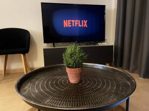 a potted plant sitting on a table in front of a tv at Relax House Murcia in Fuente-Álamo de Murcia