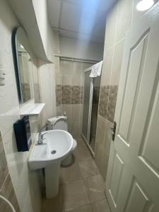 uma casa de banho com um lavatório, um WC e um chuveiro em Kadıköy Bull Hotel em Istambul