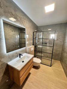 bagno con lavandino, servizi igienici e specchio di Apartment Metajna 6465a a Metajna