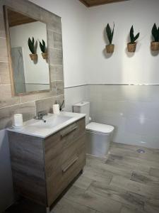 ein Badezimmer mit einem Waschbecken, einem WC und einem Spiegel in der Unterkunft Plaza de la fuente Granadilla de Abona Tenerife sur Only Adults con terraza privada in Granadilla de Abona