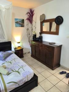 a bedroom with a bed and a dresser and a mirror at Studio BELO HORIZONTE, Grande terrasse avec vue sur les Pitons in Le Robert