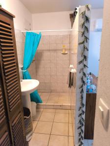 a bathroom with a sink and a toilet and a shower at Studio BELO HORIZONTE, Grande terrasse avec vue sur les Pitons in Le Robert